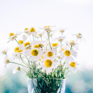 夏目春彩在办公室被躁
